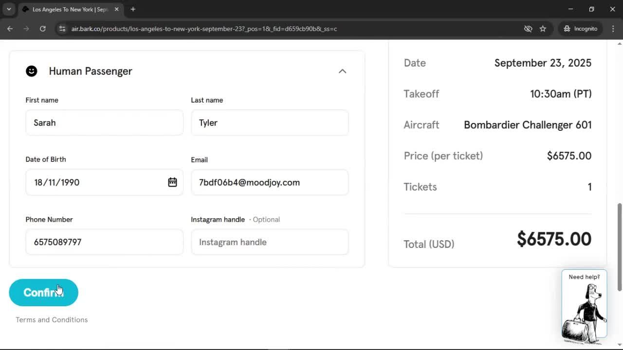 Booking a flight screenshot