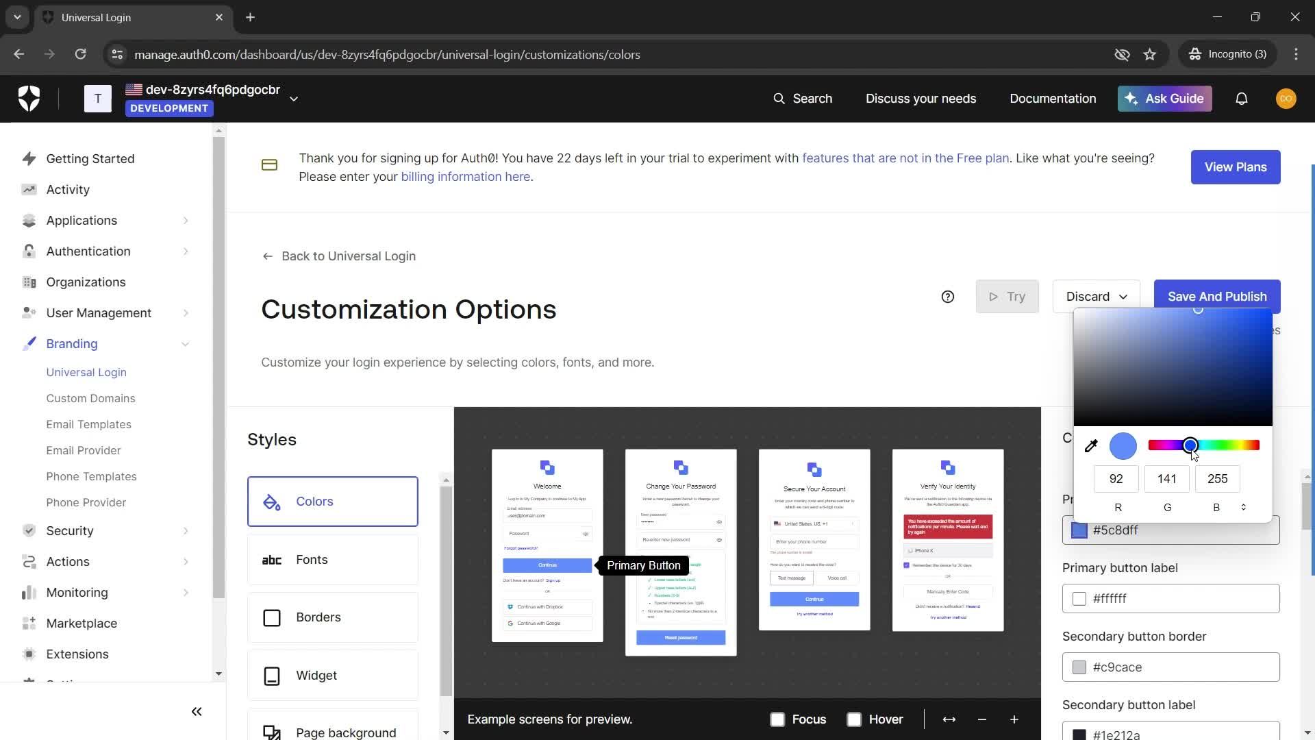 Customization settings screenshot