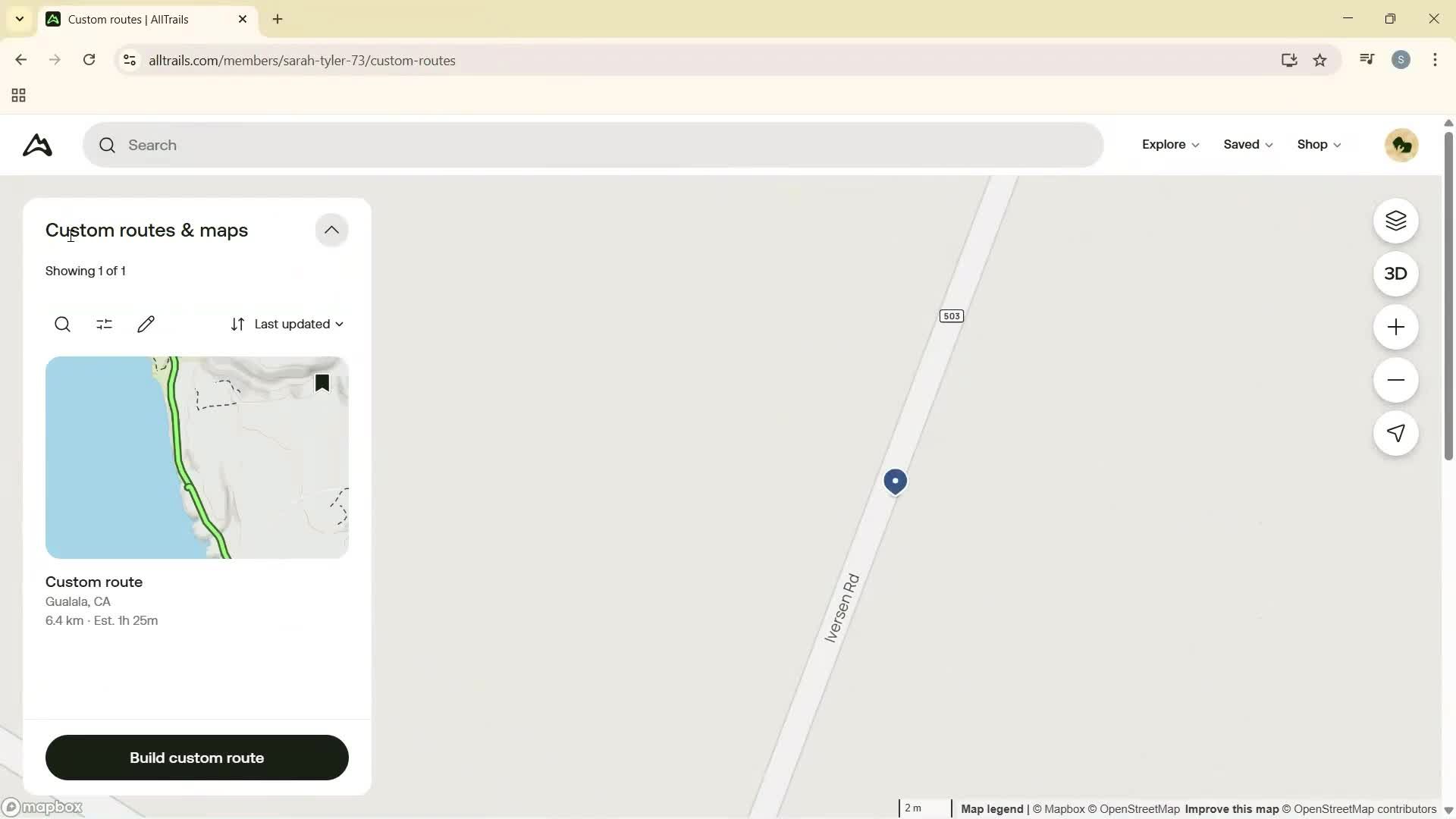 Creating a route screenshot