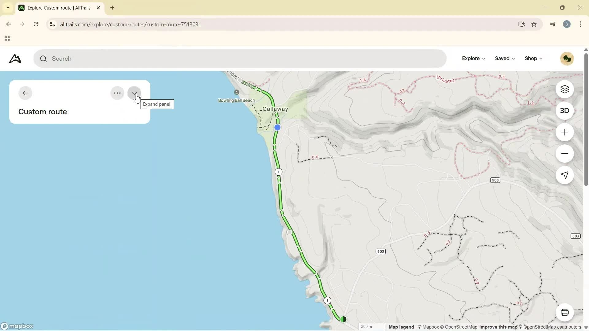 Creating a route screenshot