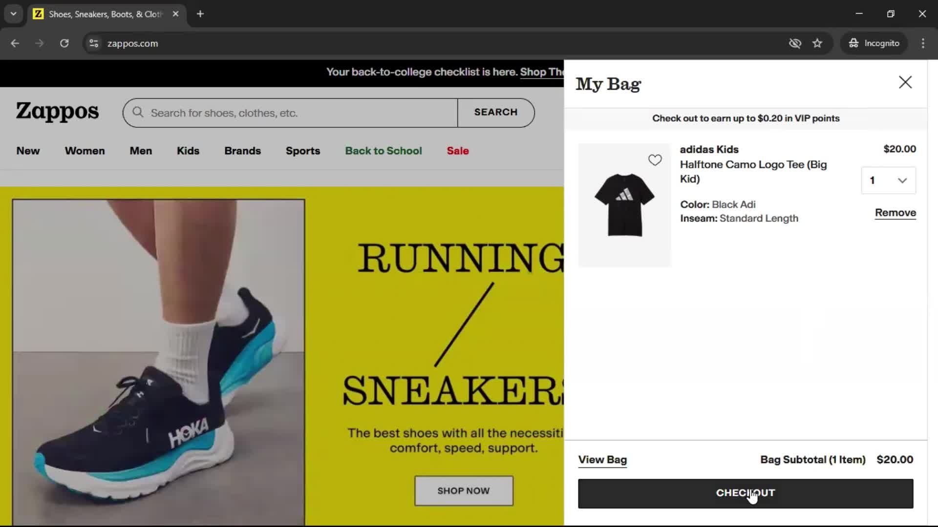 Buying something on Zappos video thumbnail