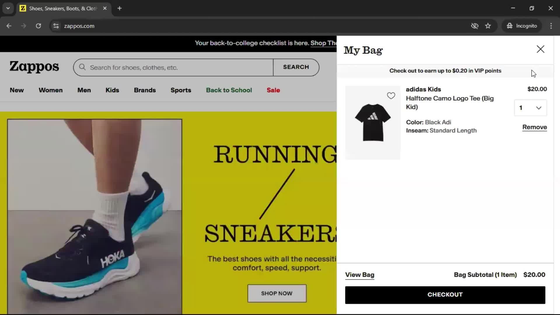 Buying something on Zappos video thumbnail