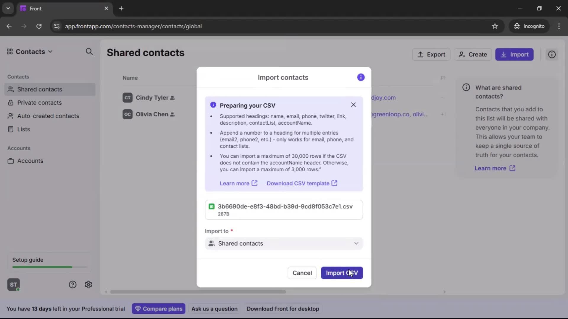 CSV import screenshot