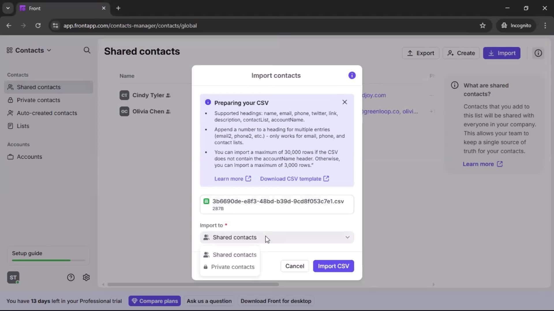 CSV import screenshot