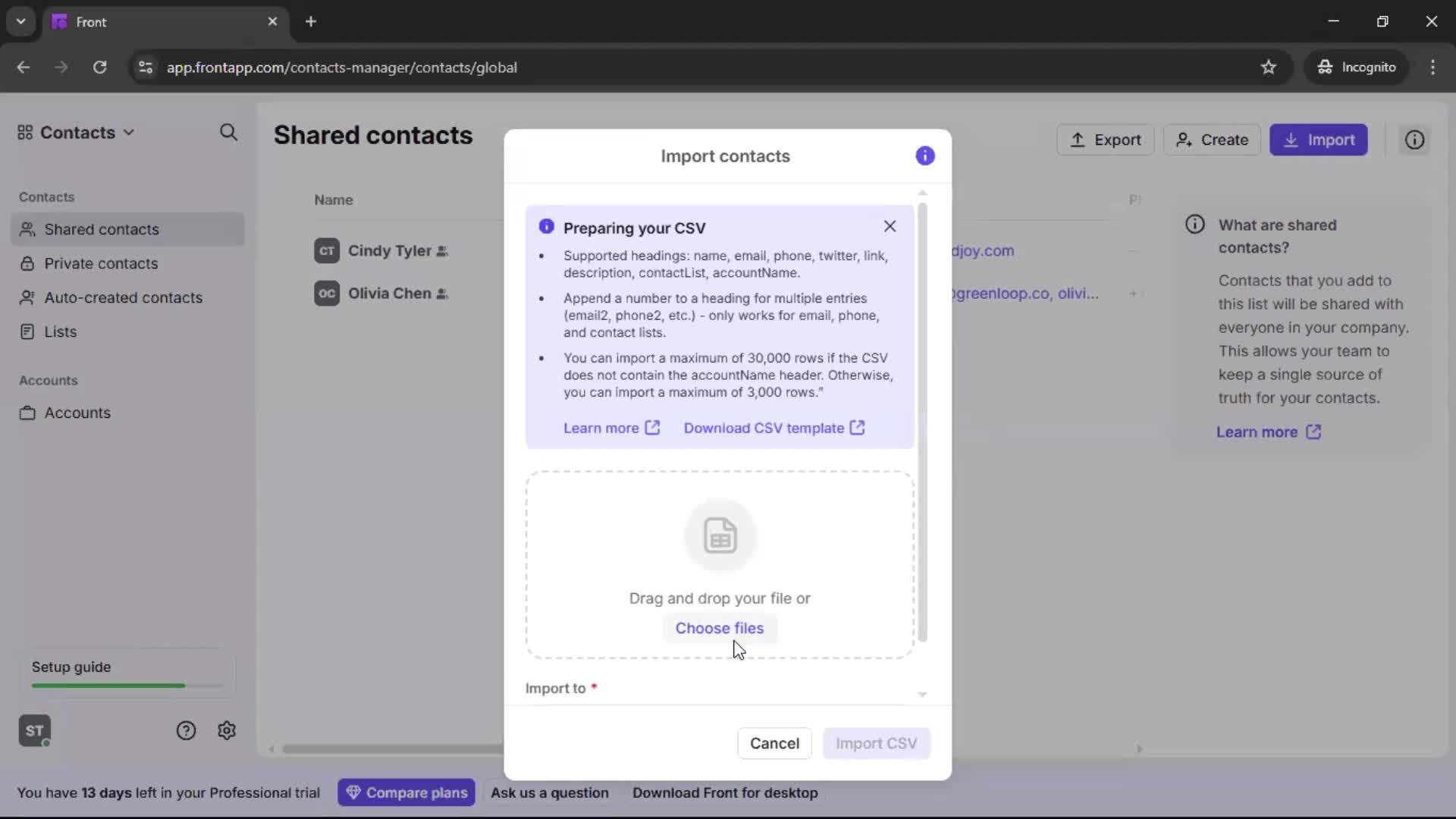 CSV import screenshot