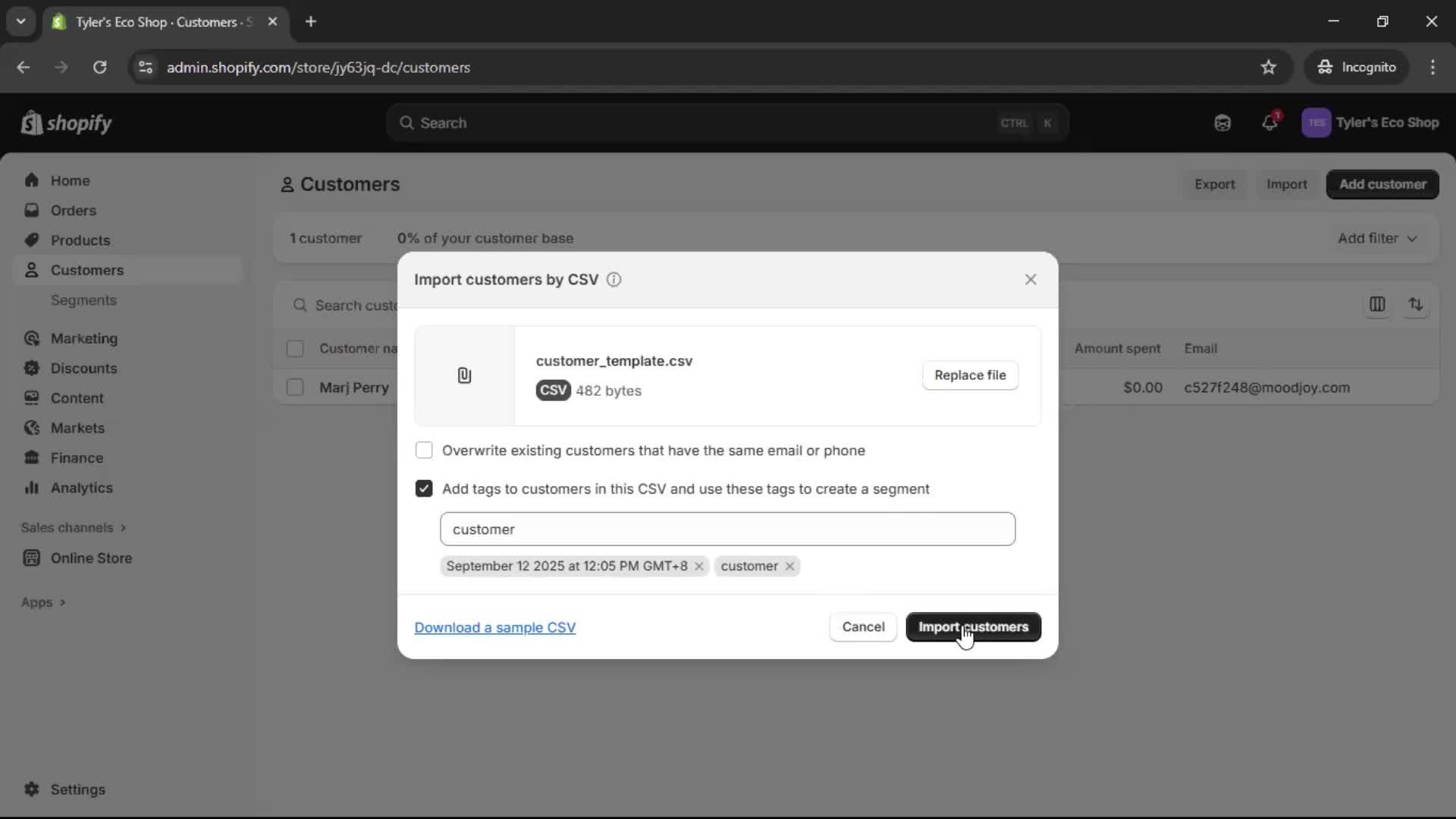 CSV import screenshot