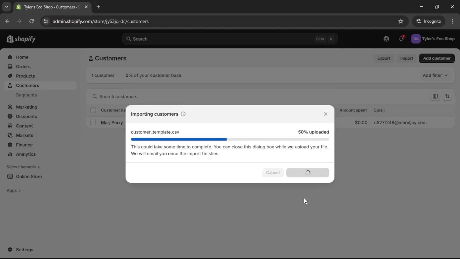 CSV import screenshot