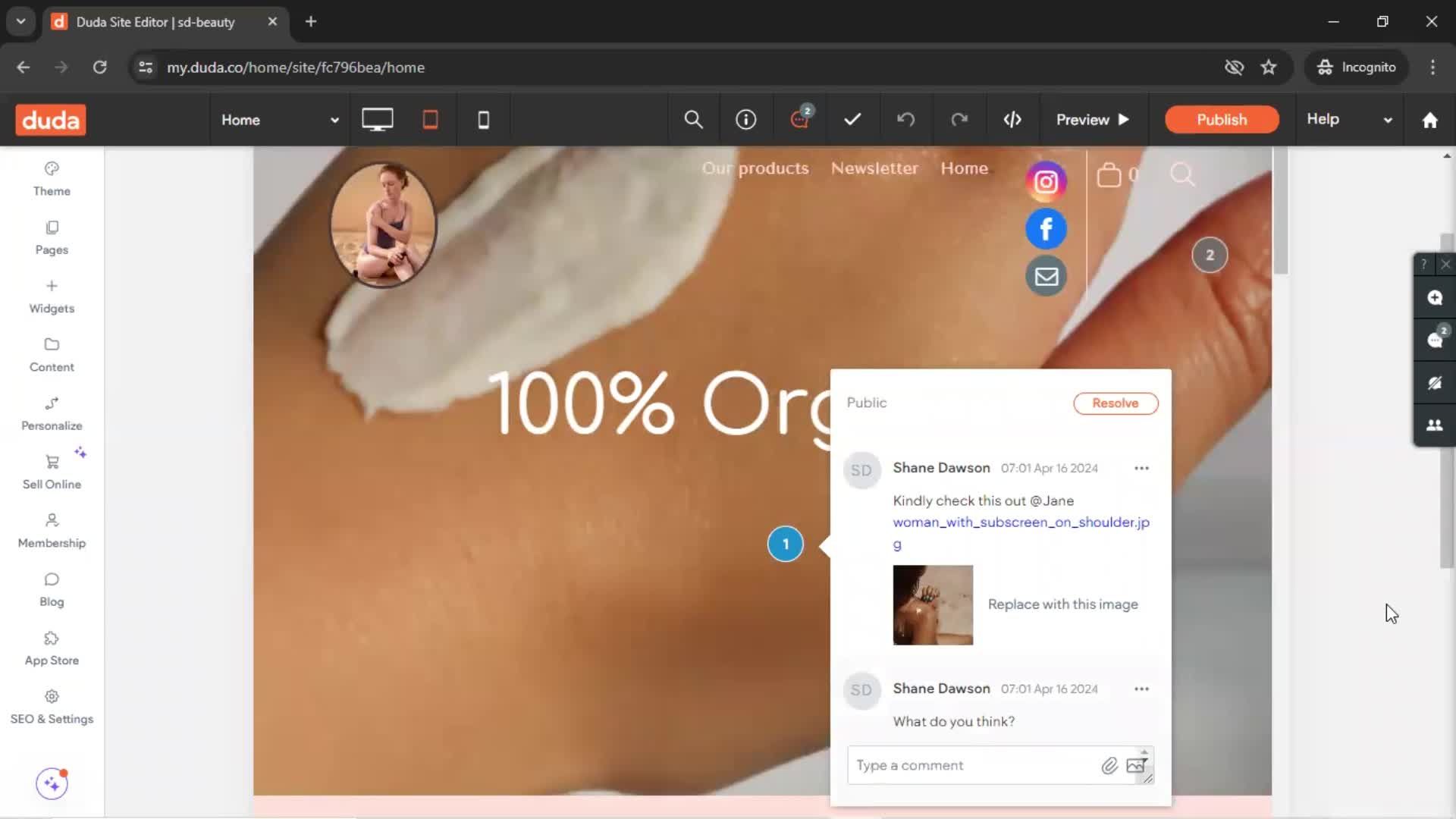 Commenting screenshot