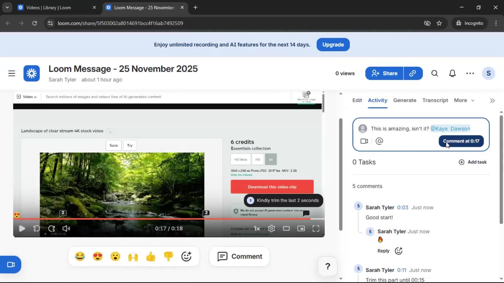 Commenting screenshot
