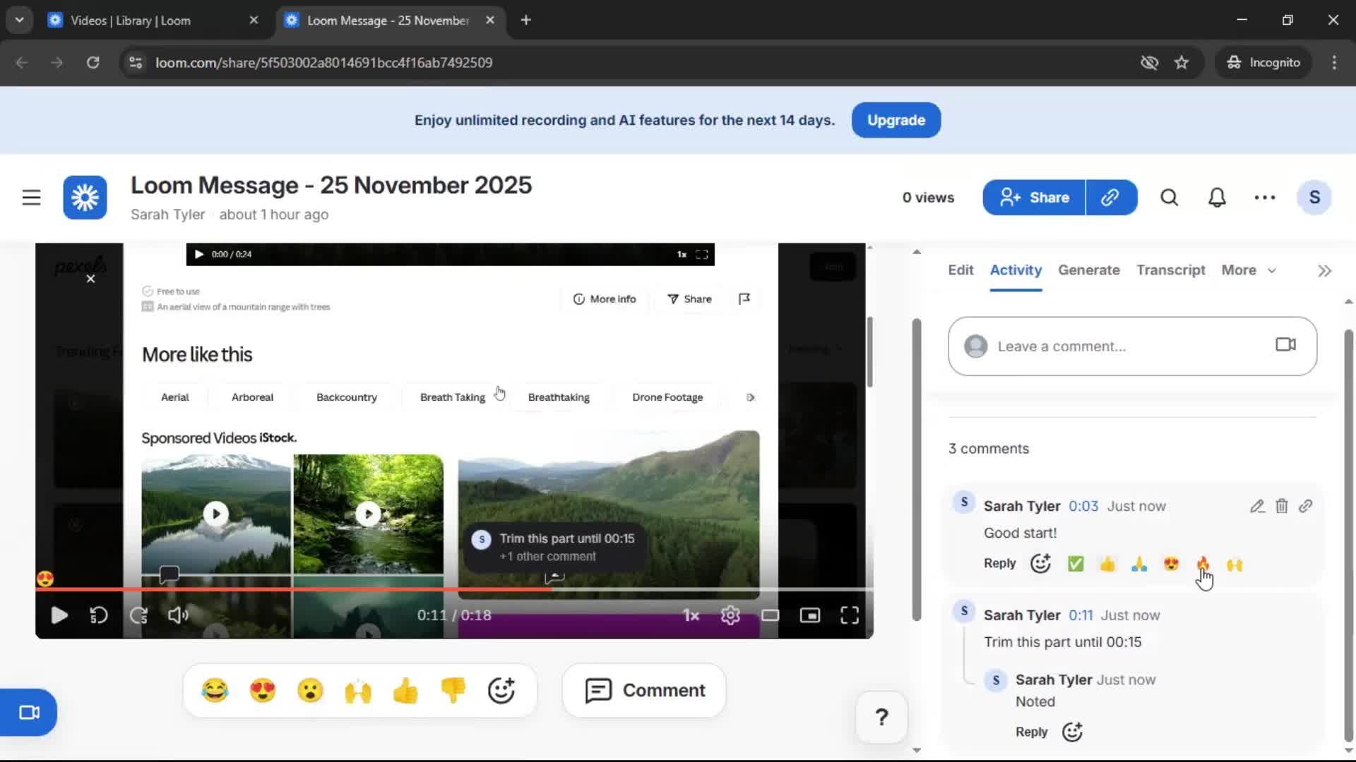 Commenting screenshot