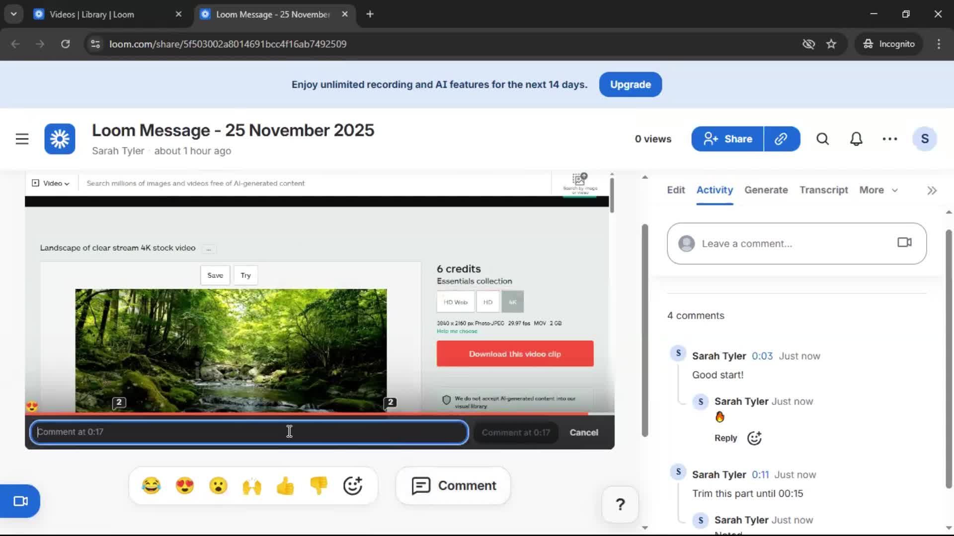 Commenting screenshot