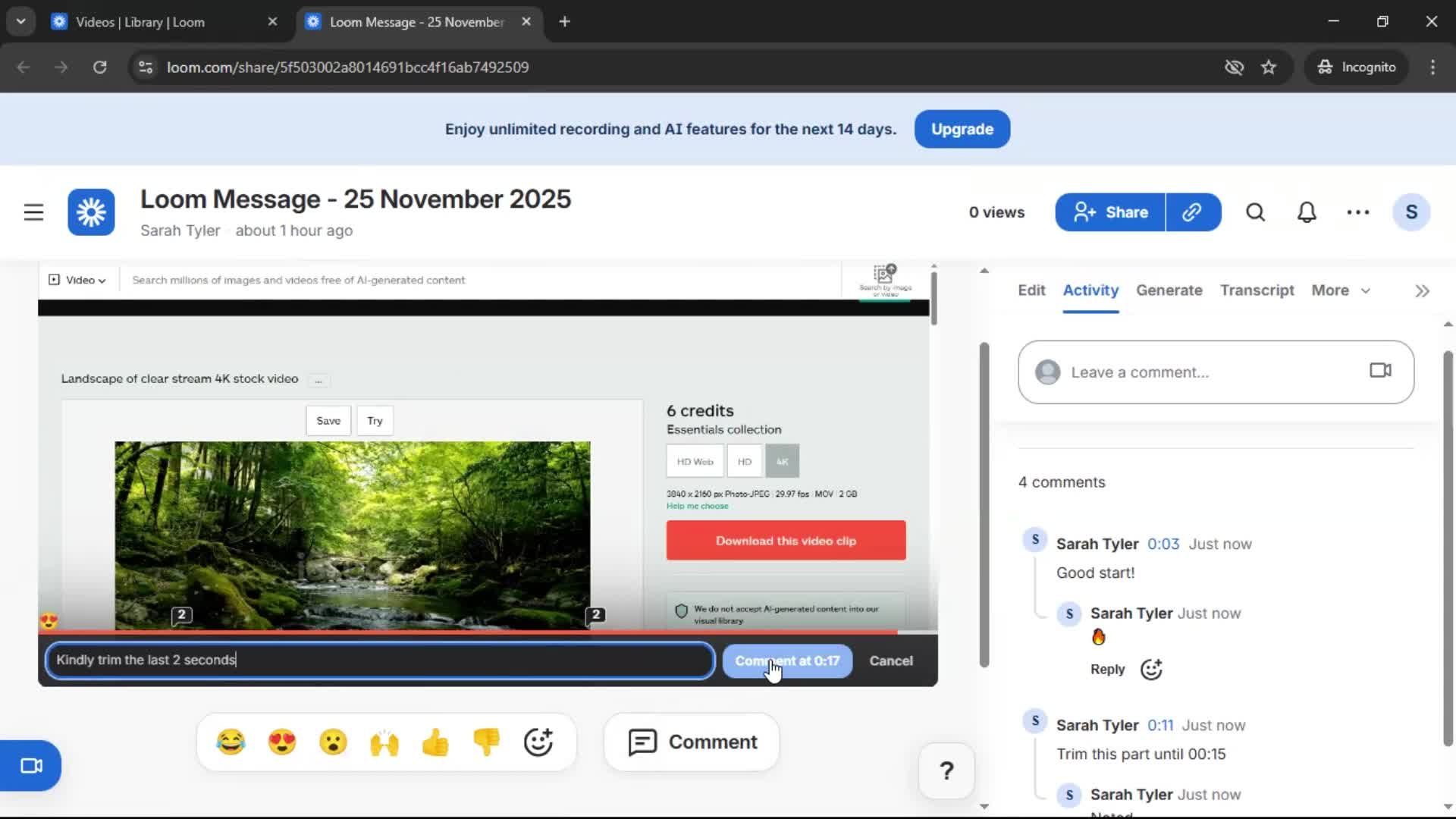 Commenting screenshot