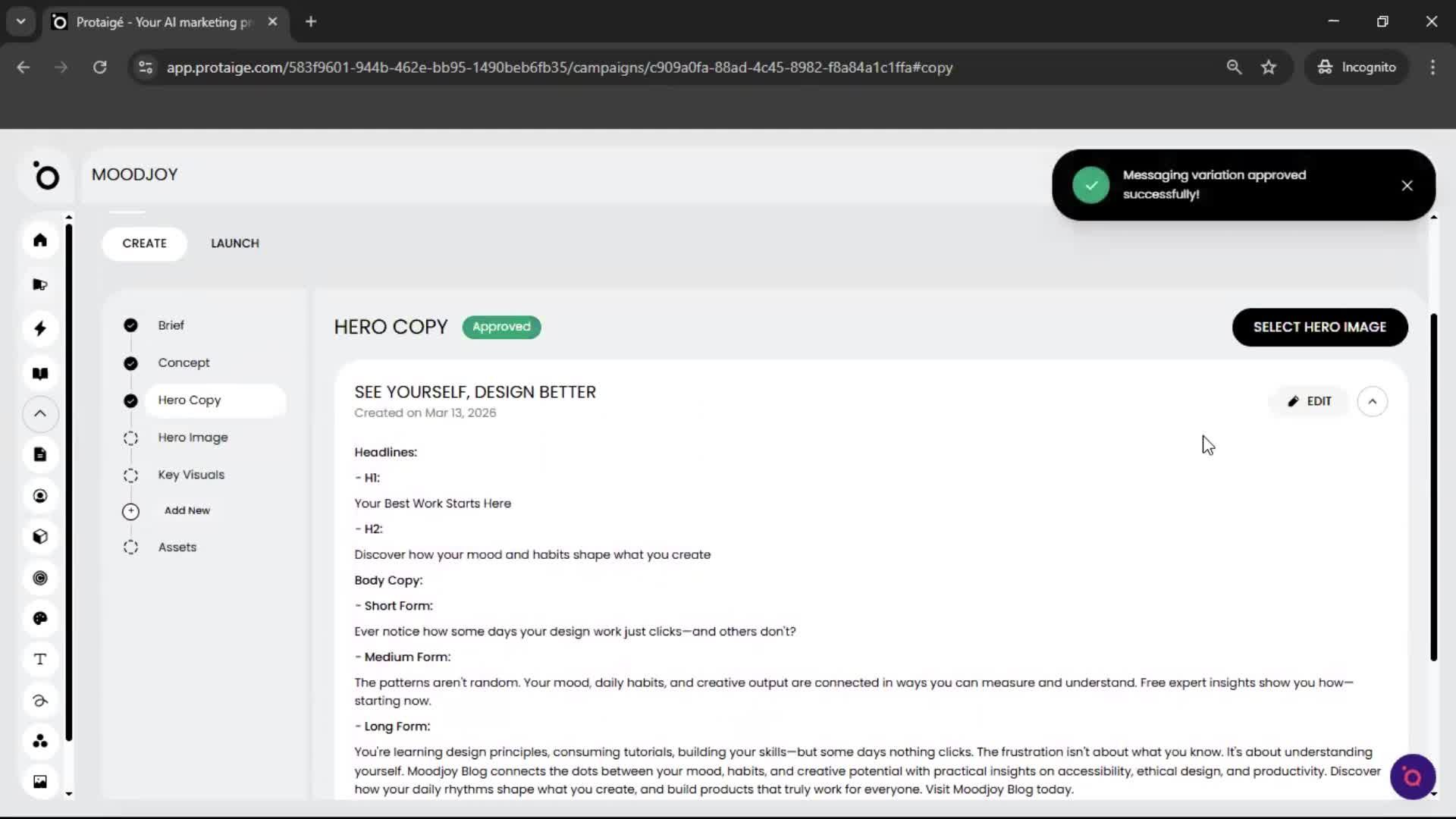 Creating a campaign screenshot