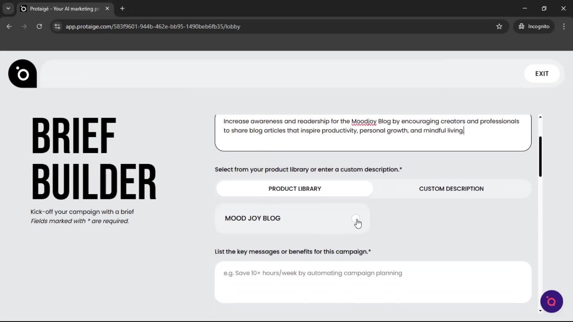 Creating a campaign screenshot