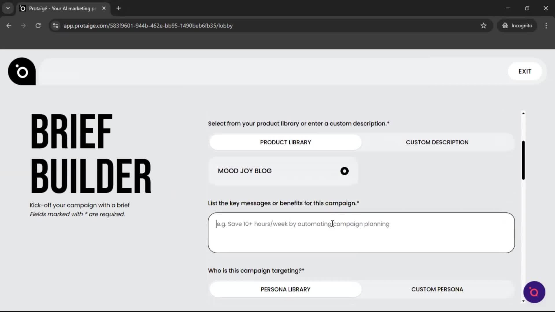 Creating a campaign screenshot