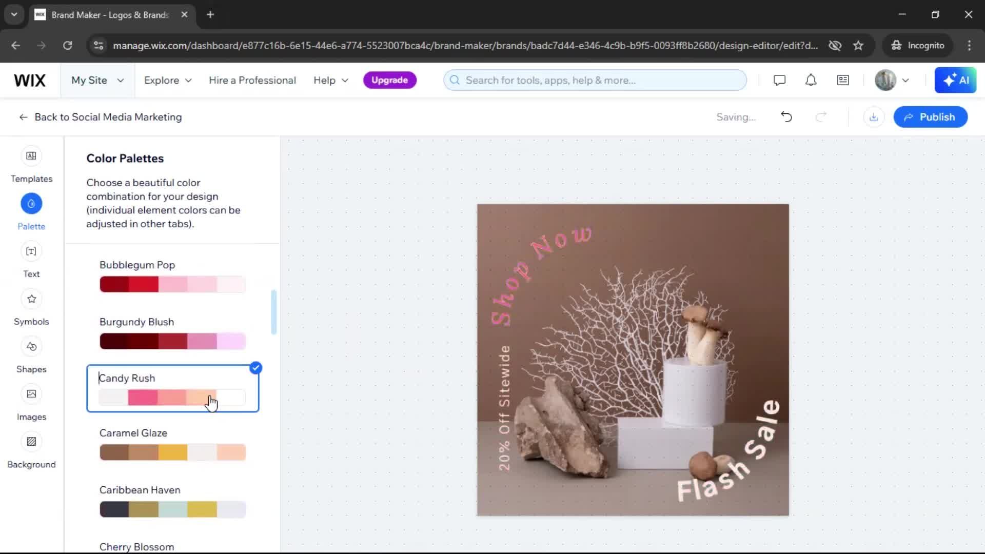 Creating a design screenshot