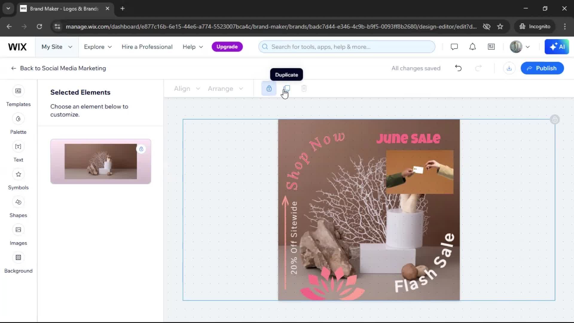 Creating a design screenshot