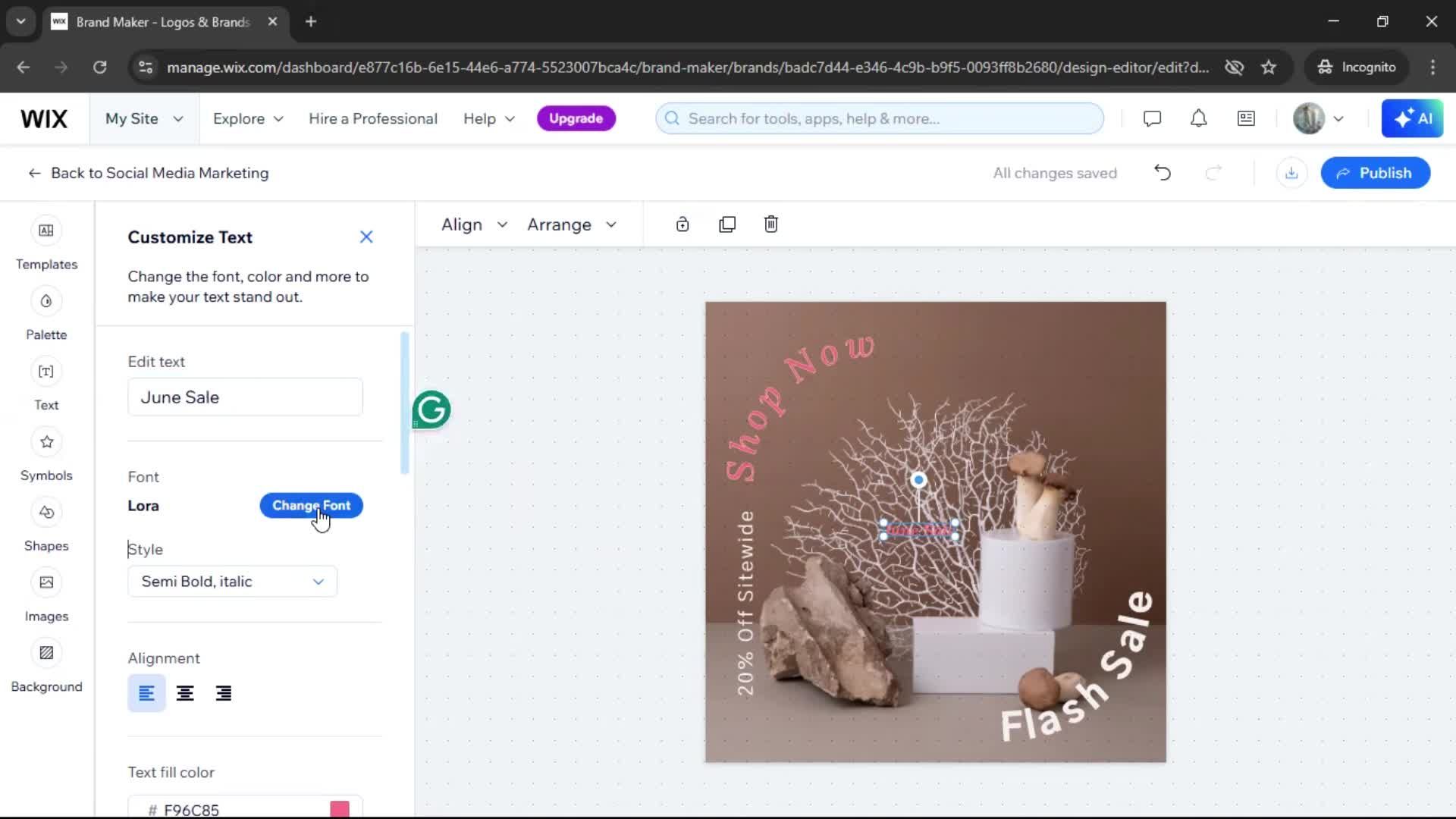 Creating a design screenshot
