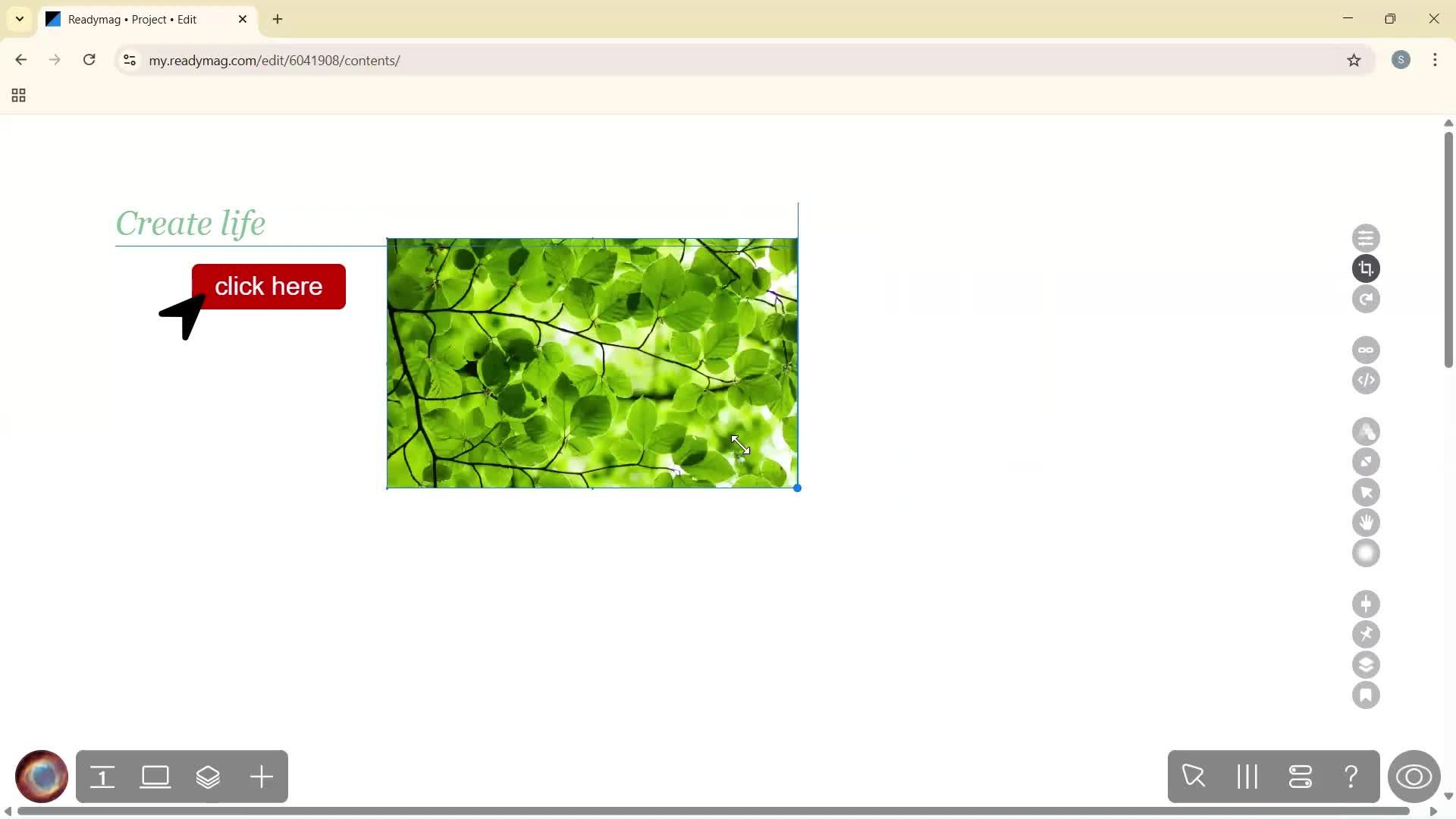 Creating a project screenshot