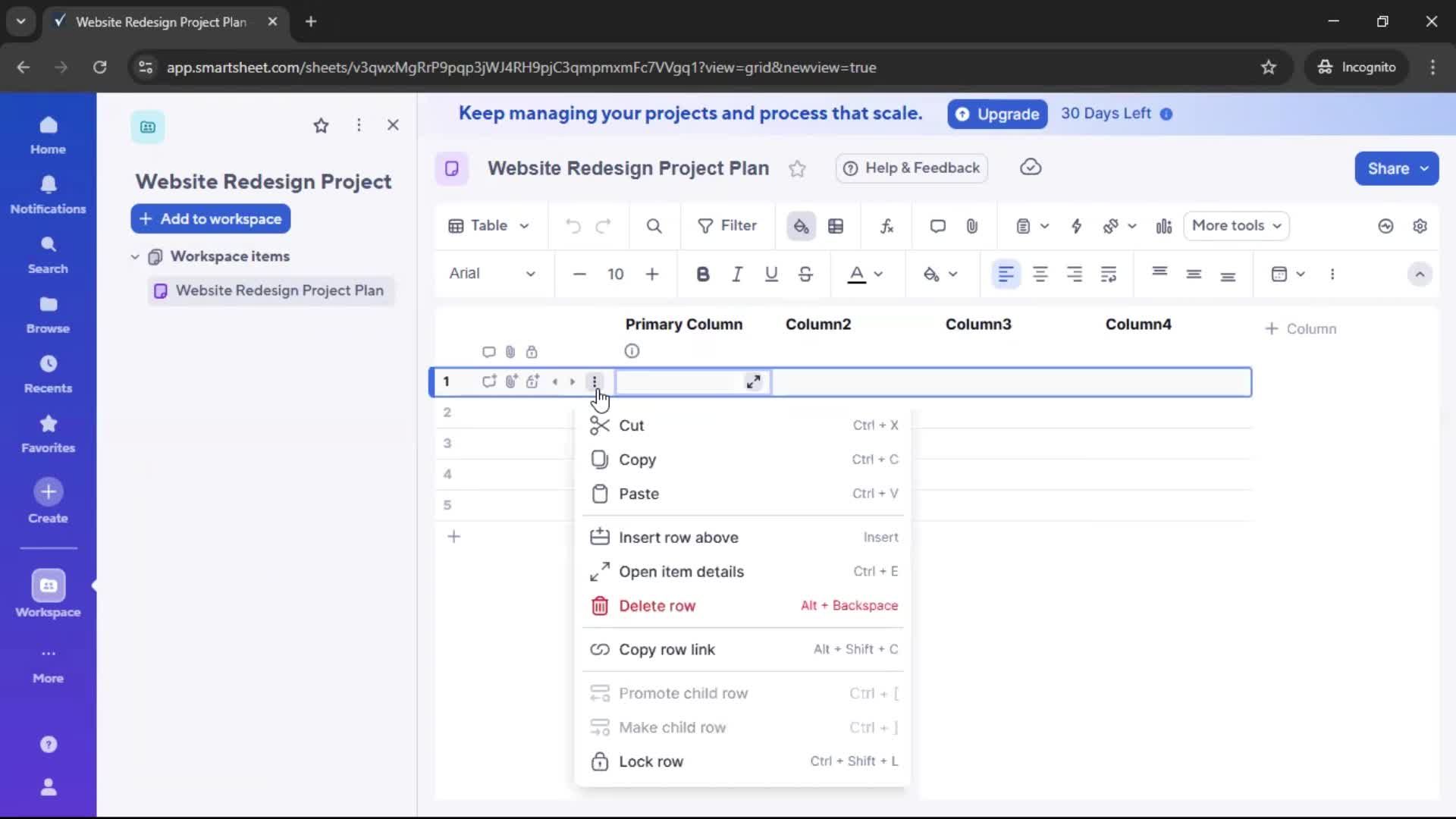 Creating a project screenshot
