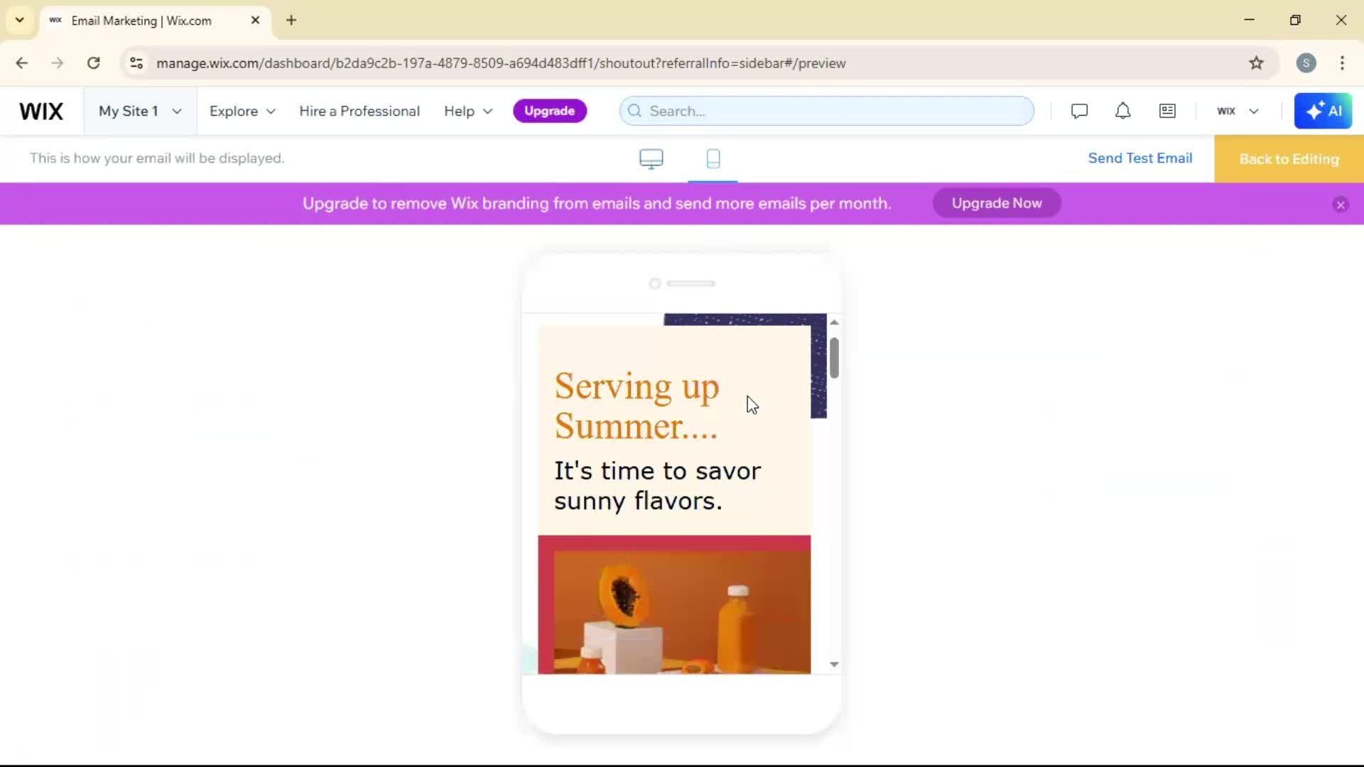 Creating an email campaign screenshot