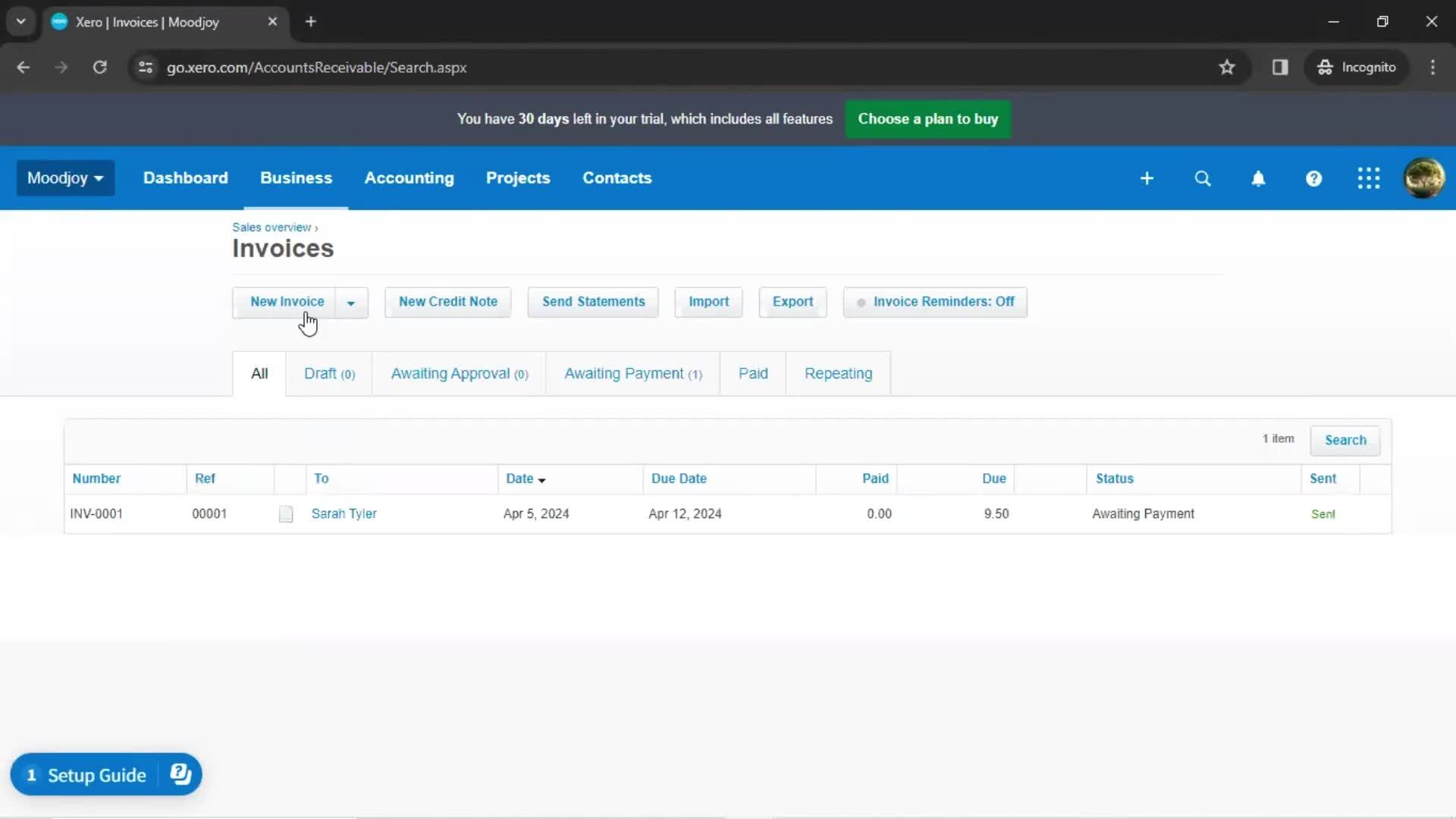 Creating an invoice screenshot