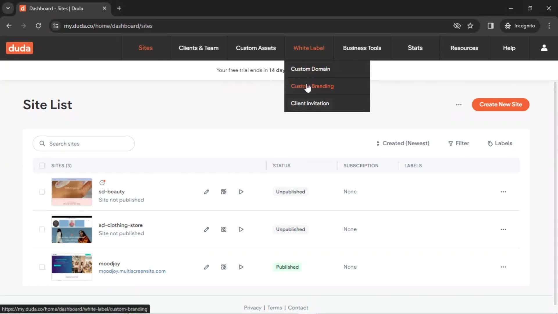 Custom branding screenshot