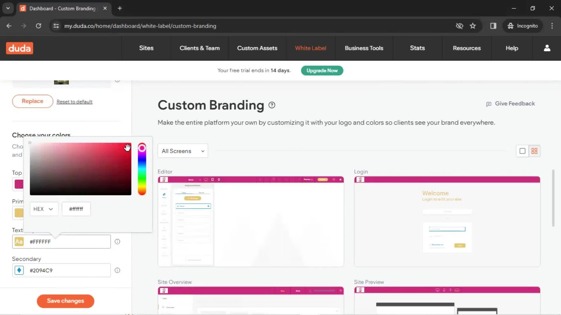 Custom branding screenshot