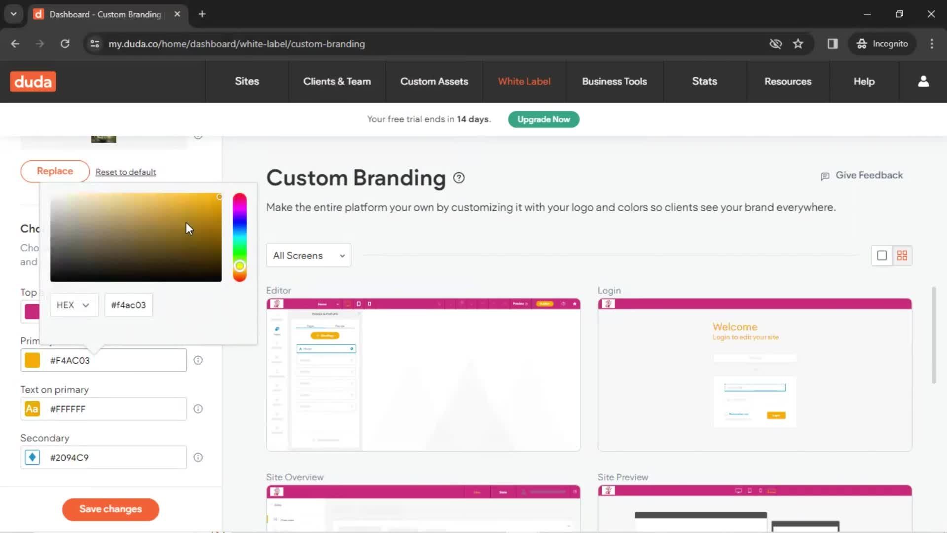 Custom branding screenshot