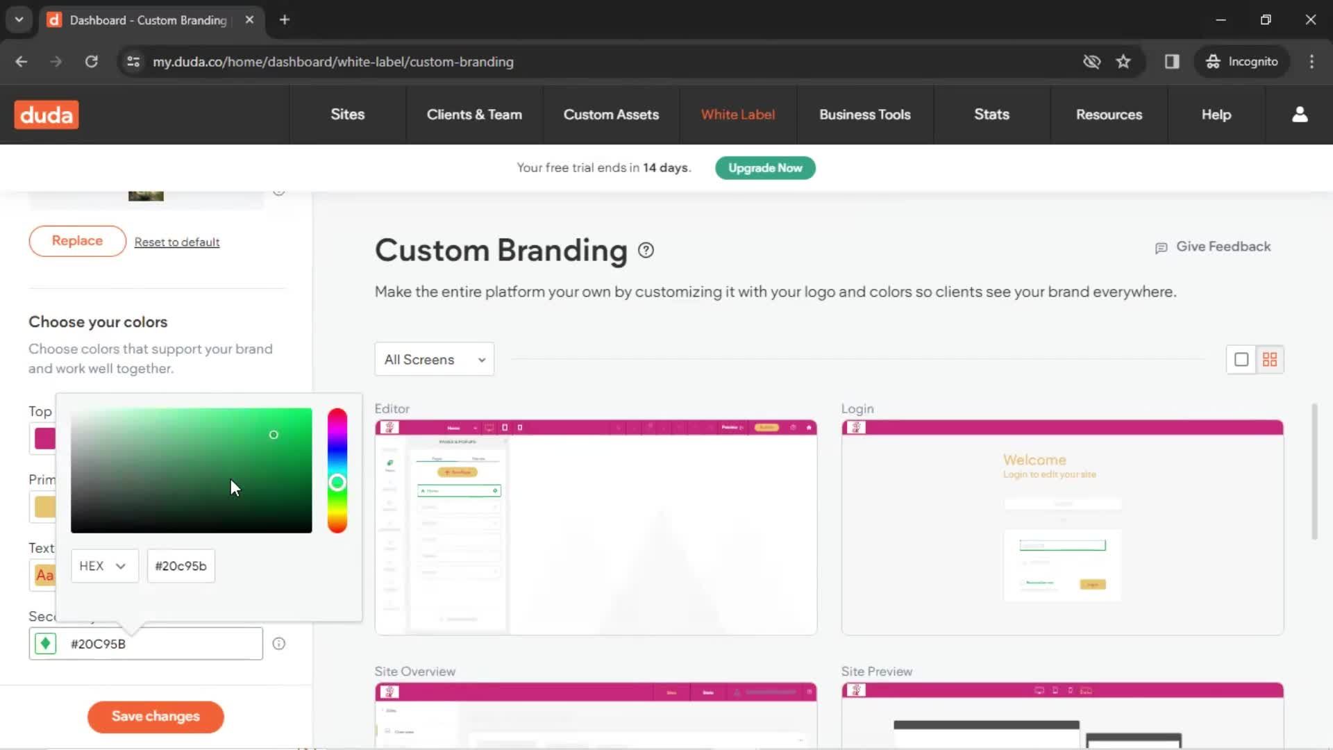 Custom branding screenshot