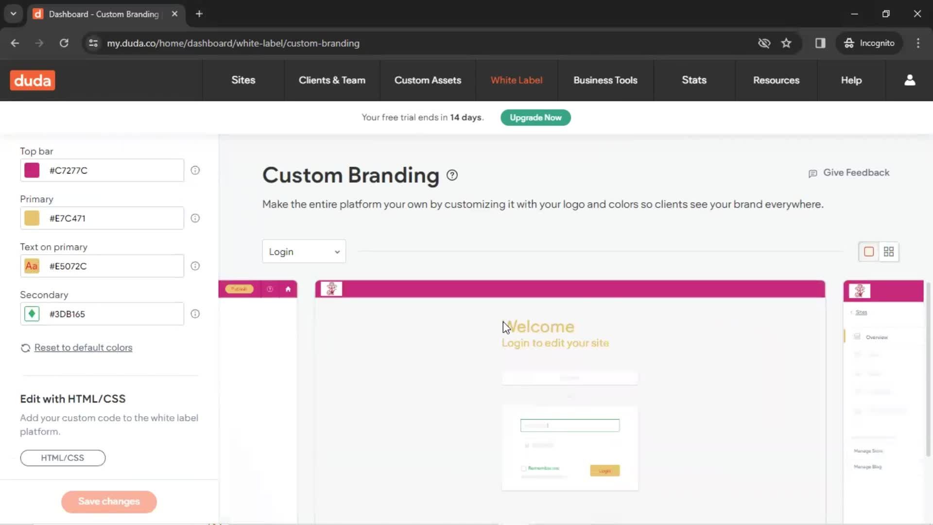 Custom branding screenshot