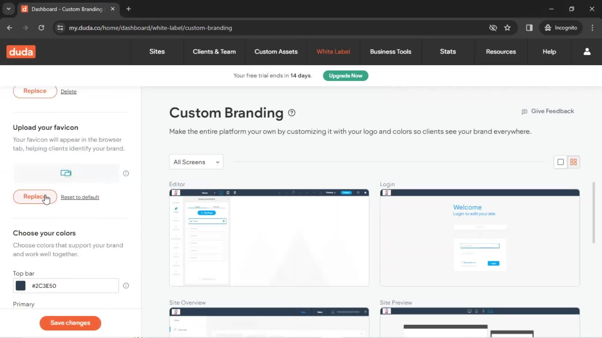 Custom branding screenshot
