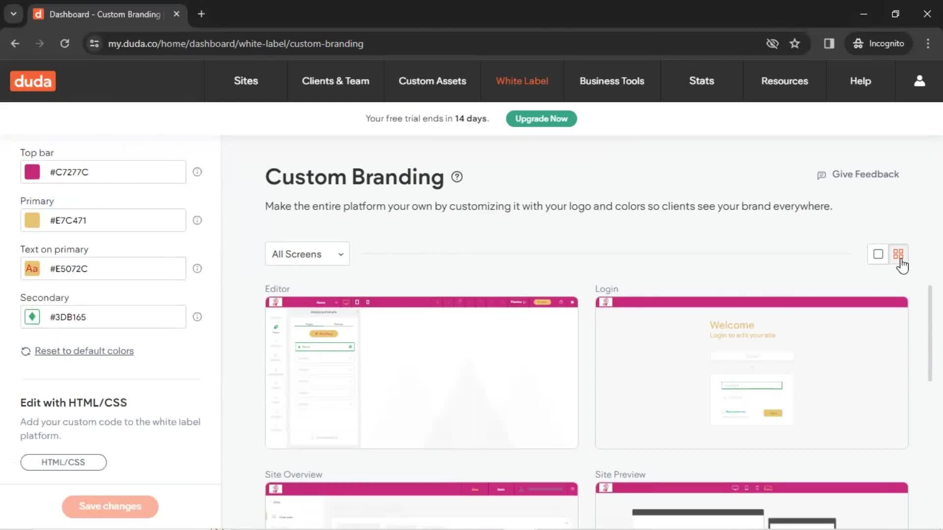 Custom branding screenshot