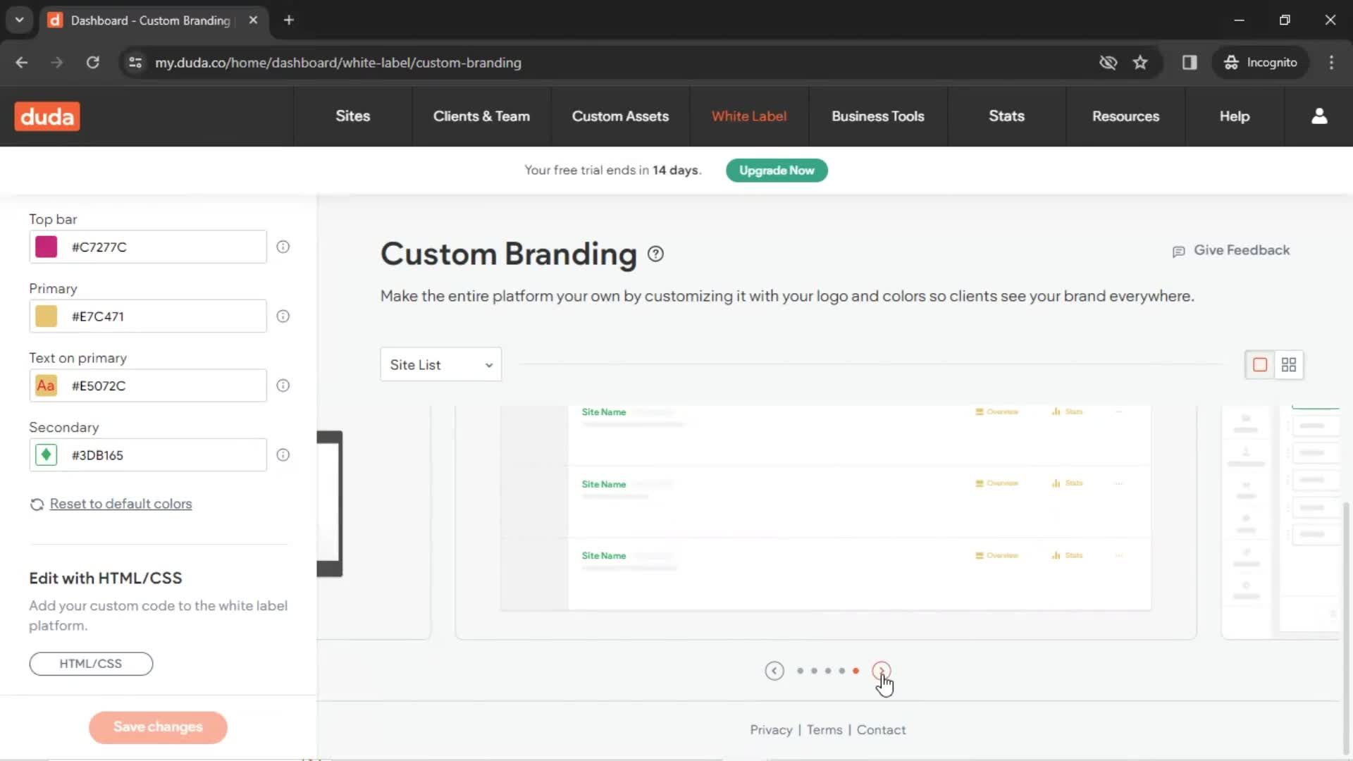 Custom branding screenshot