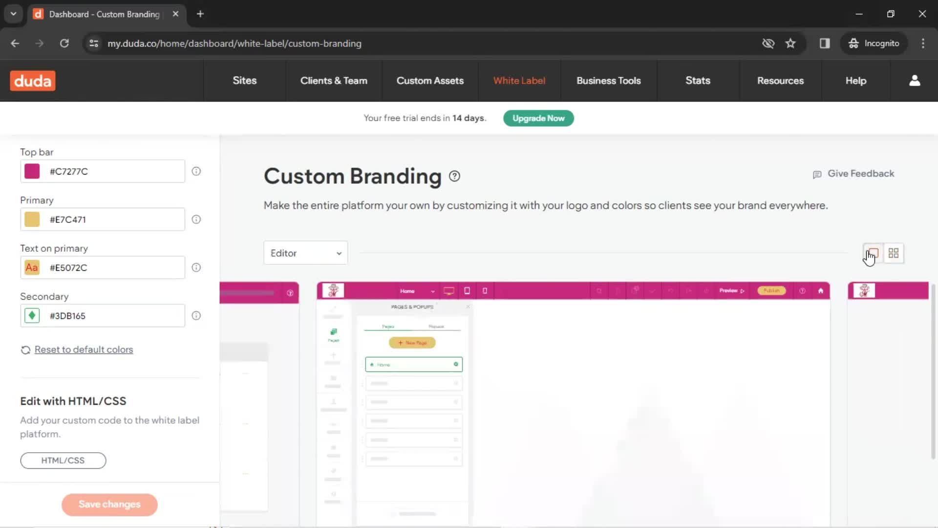 Custom branding screenshot