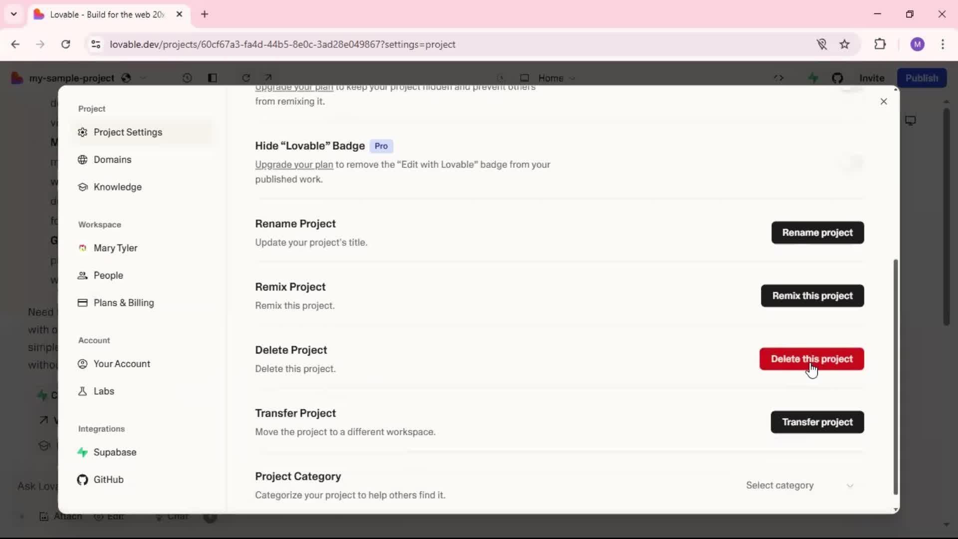Deleting a project screenshot