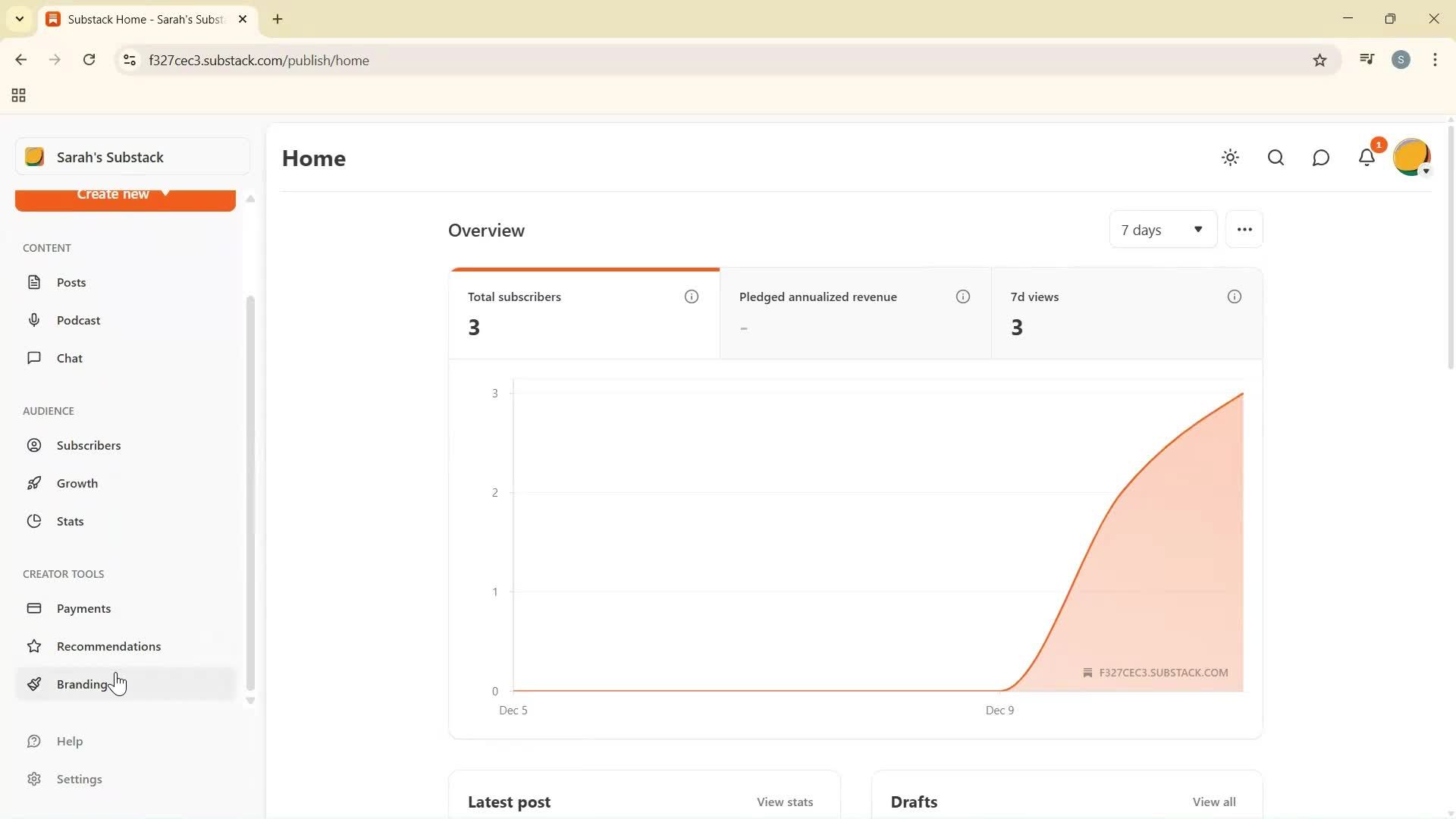 Customization settings screenshot