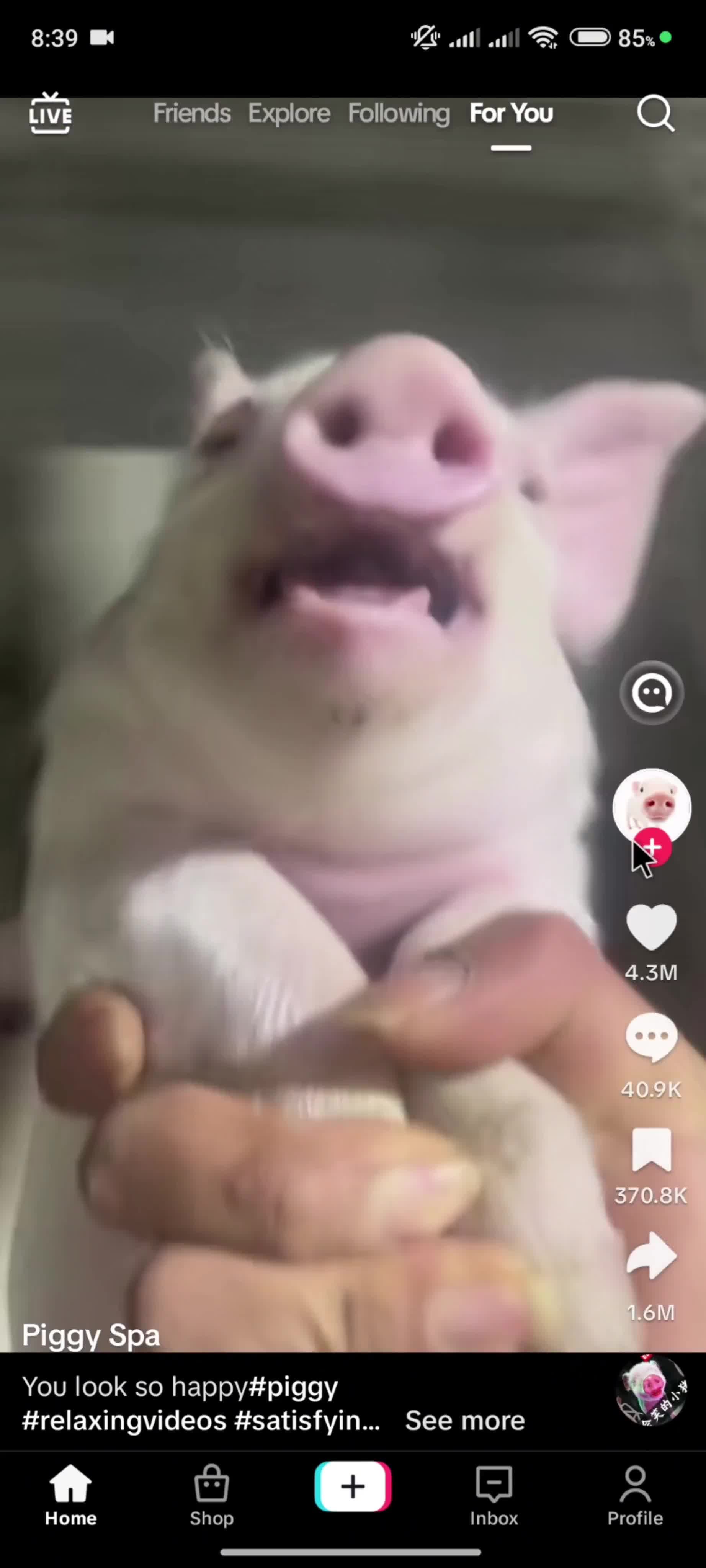 Following a user on TikTok video thumbnail