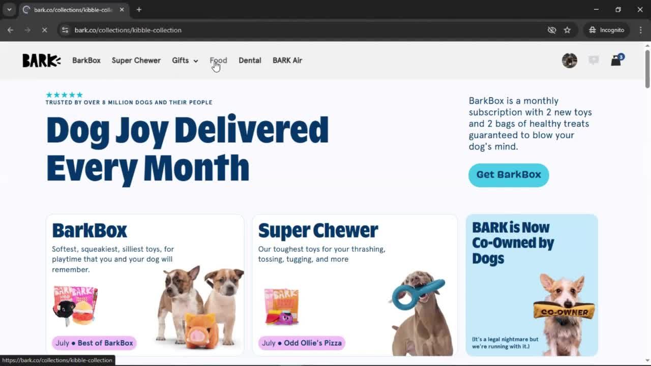 General browsing screenshot
