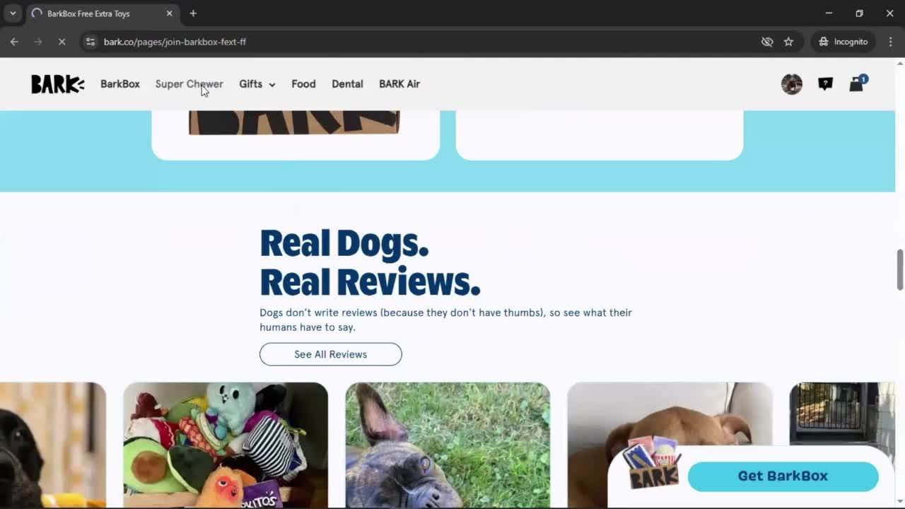 General browsing screenshot