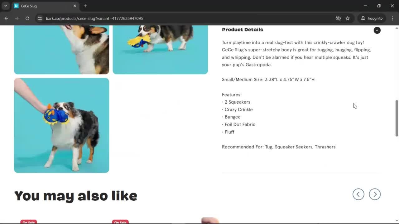 General browsing screenshot