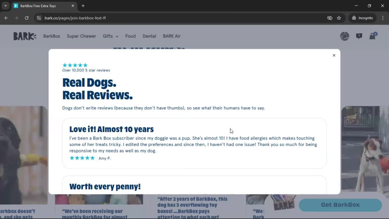 General browsing screenshot