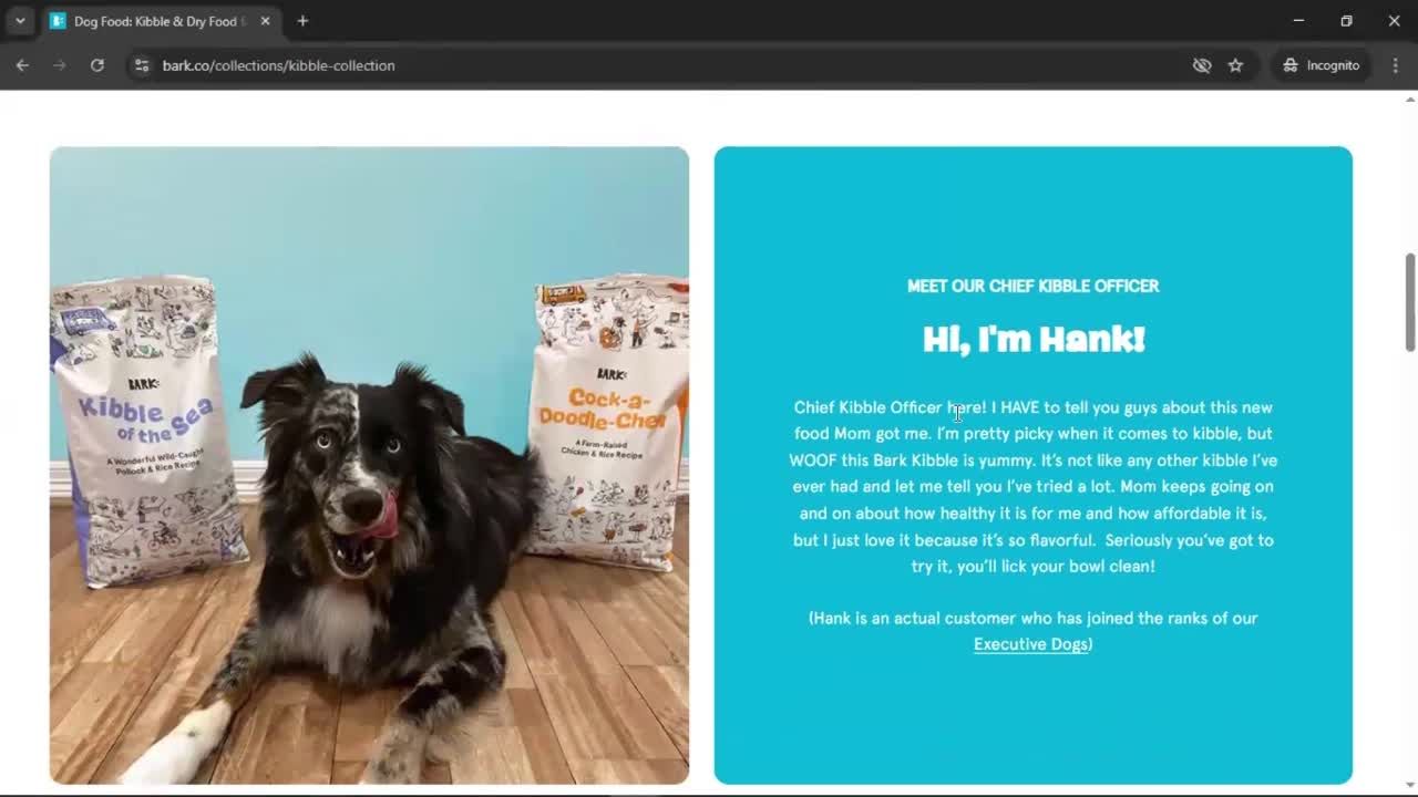 General browsing screenshot