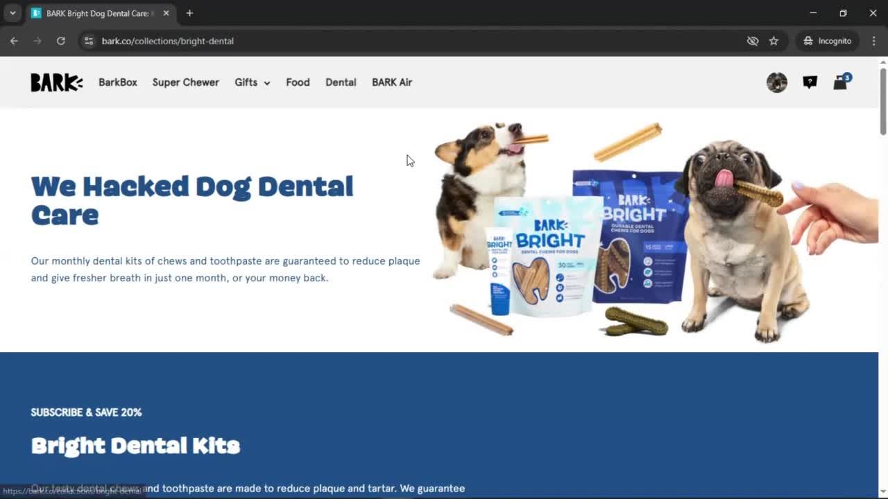 General browsing screenshot