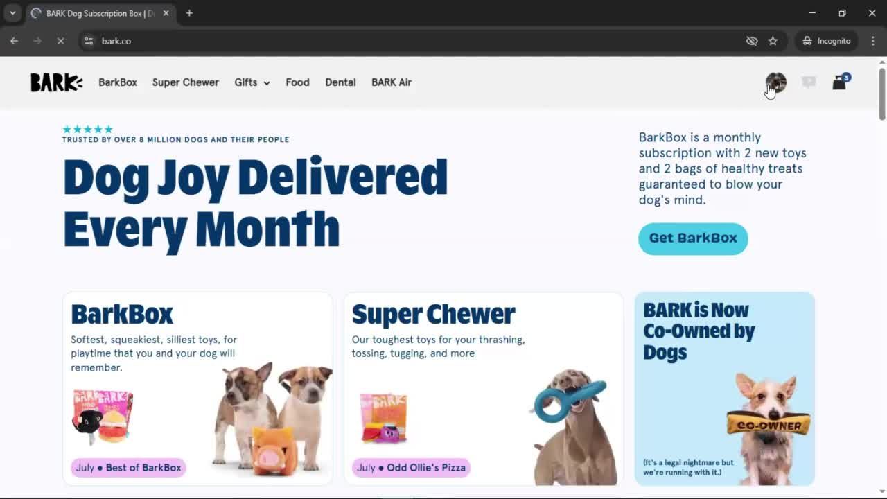 General browsing screenshot