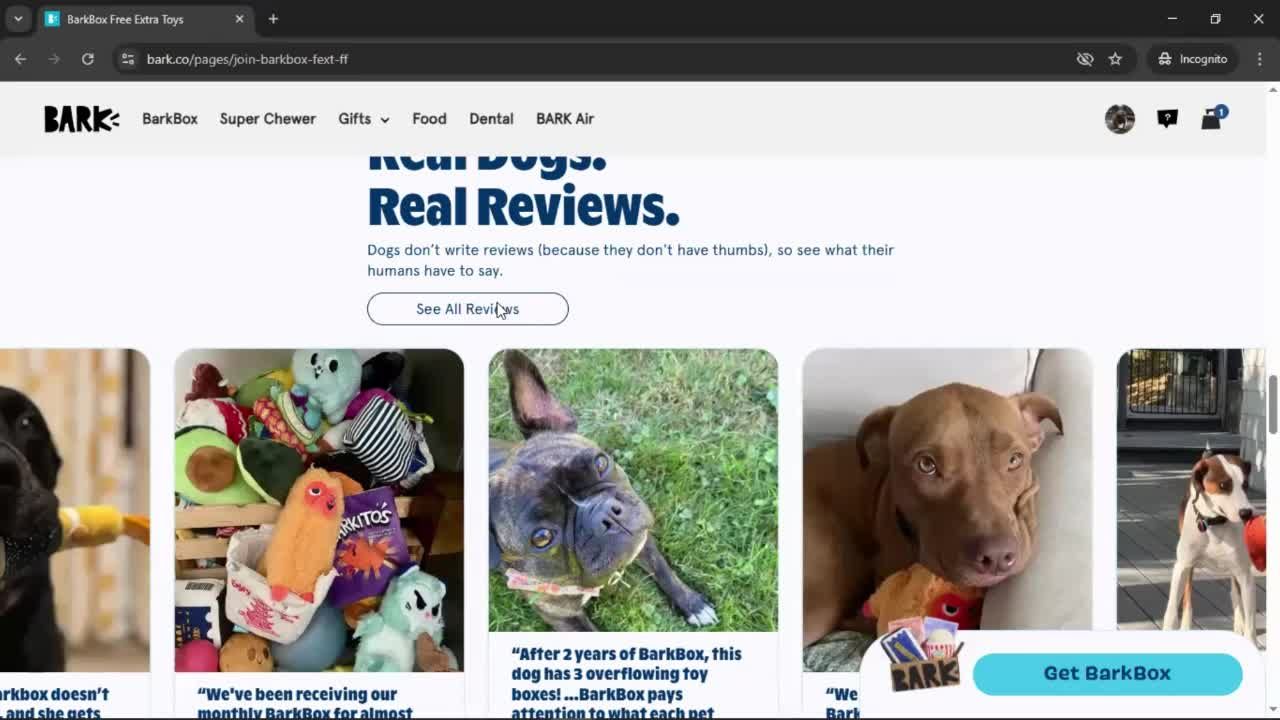 General browsing screenshot