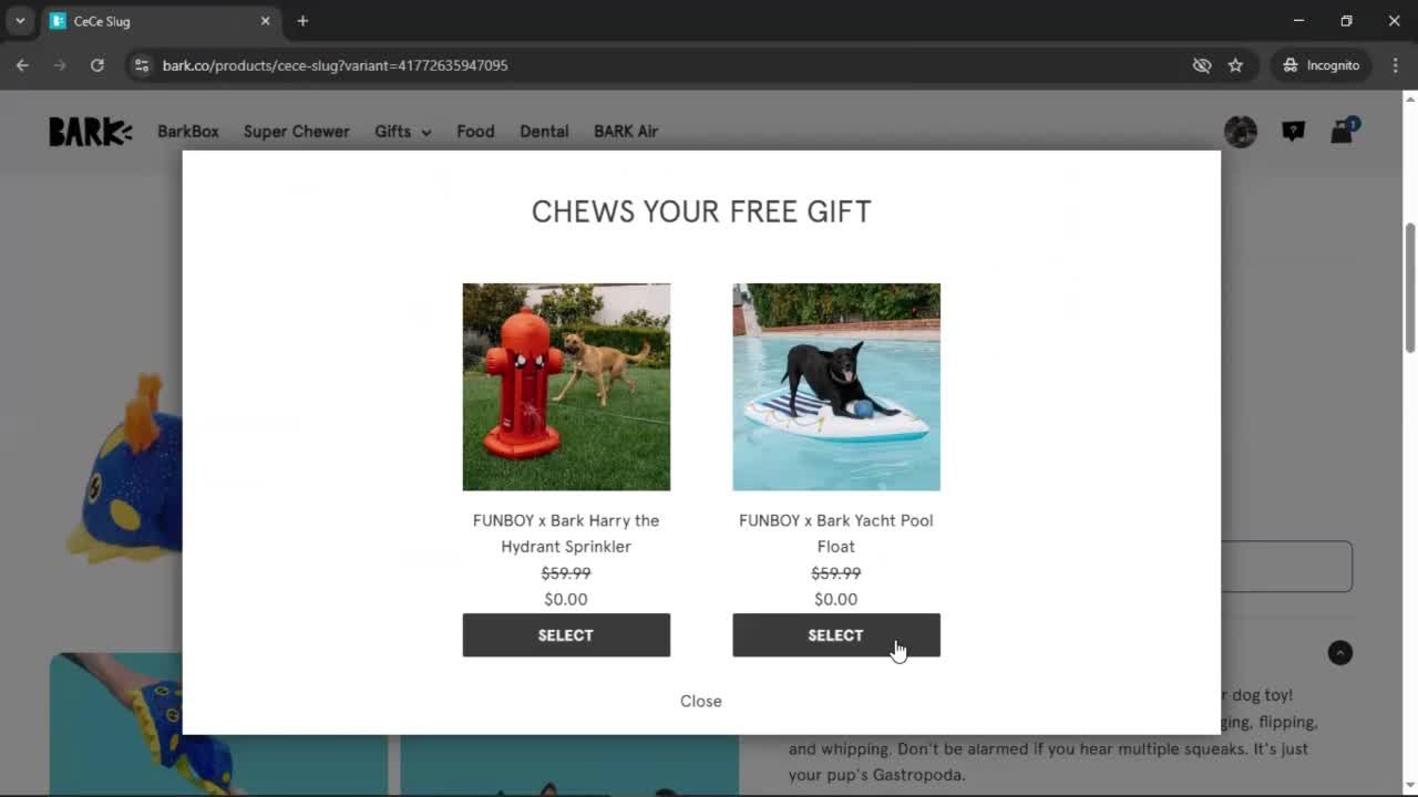 General browsing screenshot