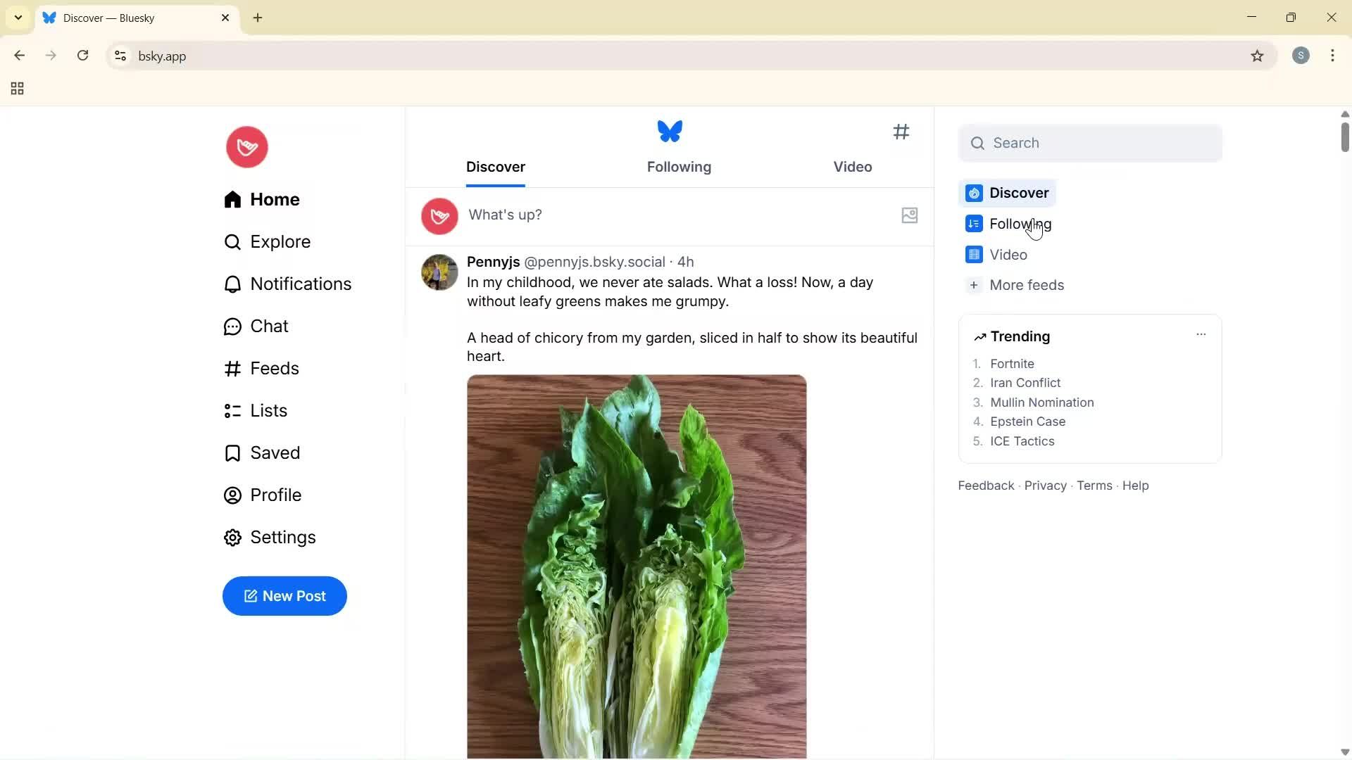 General browsing screenshot