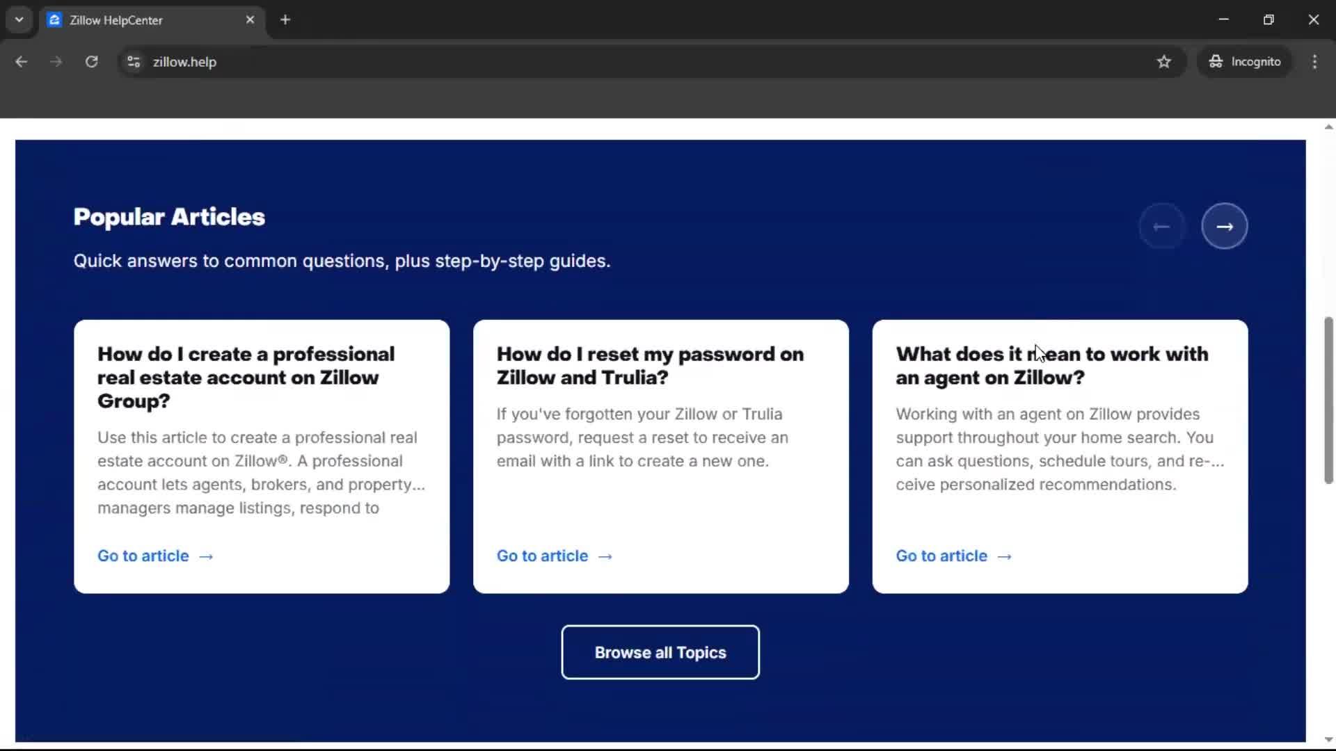 General browsing screenshot