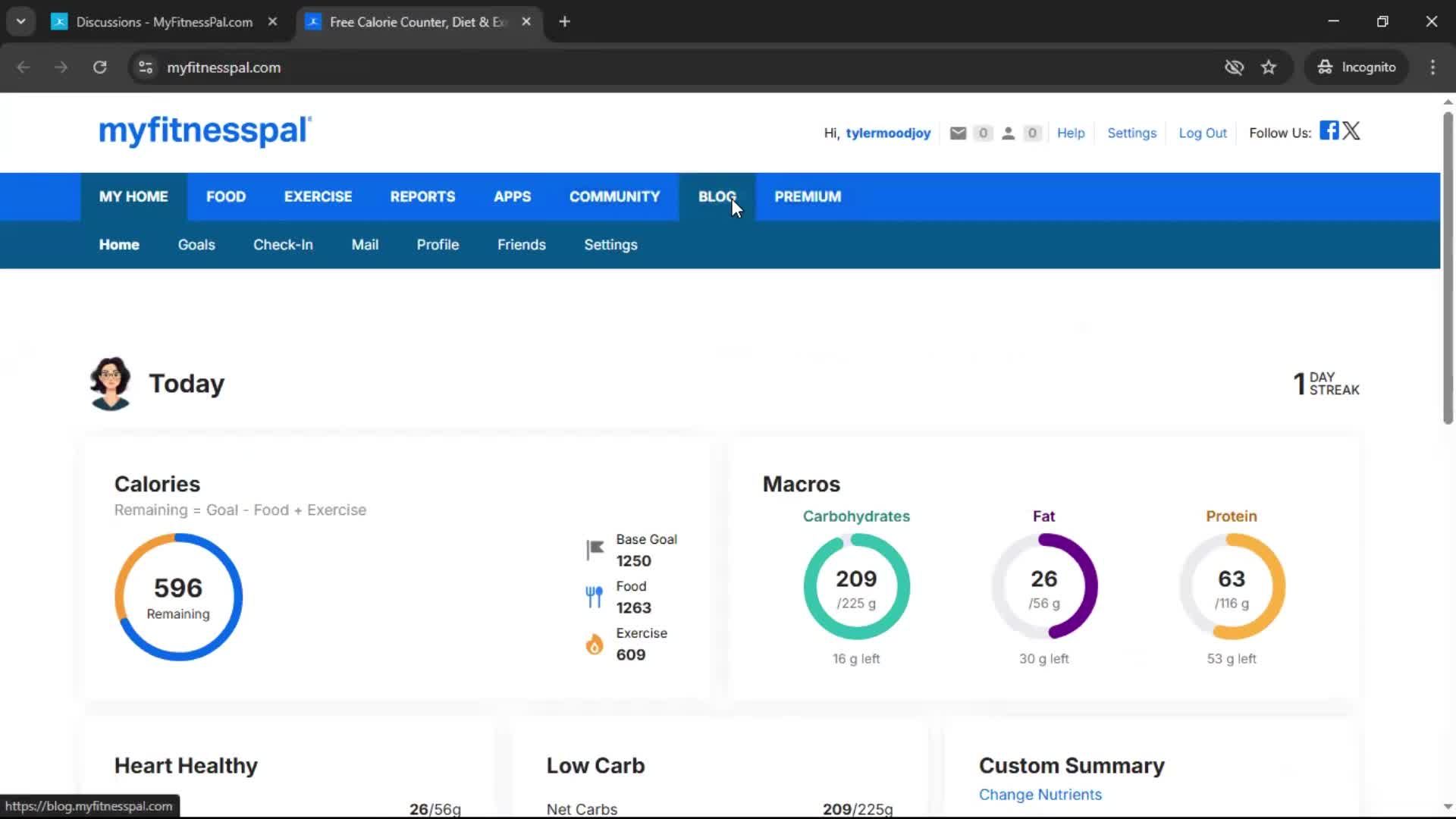 General browsing screenshot